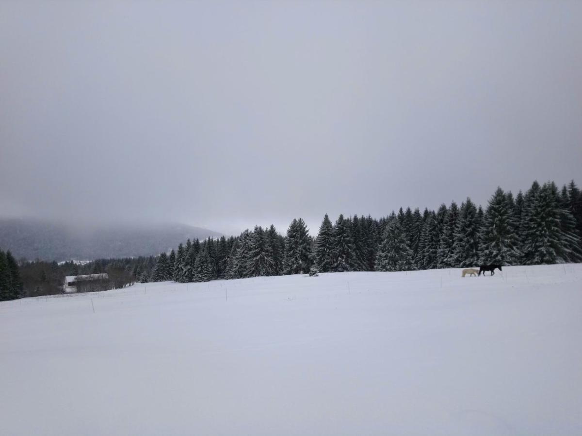 La Ferme Du Levant Жерарме Екстер'єр фото